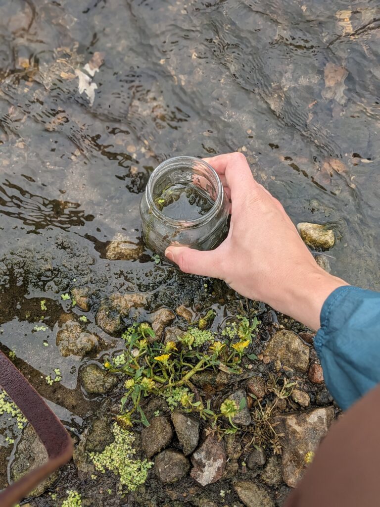 A hand in a blue sleeve holds a clear glass jar while collecting a water sample from a rocky stream or spring. Small yellow wildflowers and green vegetation grow between the rocks at the water's edge. The water's surface reflects rippled patterns, and stones of various sizes are visible beneath the shallow water